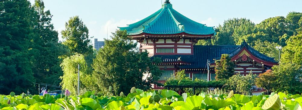 Vista dello stagno Shinobazu e del tempio Bentendo immersi nel verde in una giornata soleggiata a Ueno.