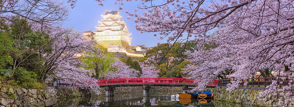 Castello di Himeji in primavera con ciliegi in fiore e ponte rosso riflesso nell'acqua.