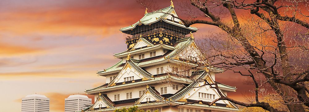 Il castello di Osaka al tramonto con alberi e un cielo dorato.
