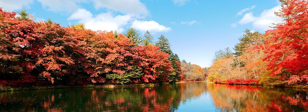 Riflesso di alberi con fogliame autunnale rosso e arancione sulla superficie dello stagno Kumoba-ike in Giappone.