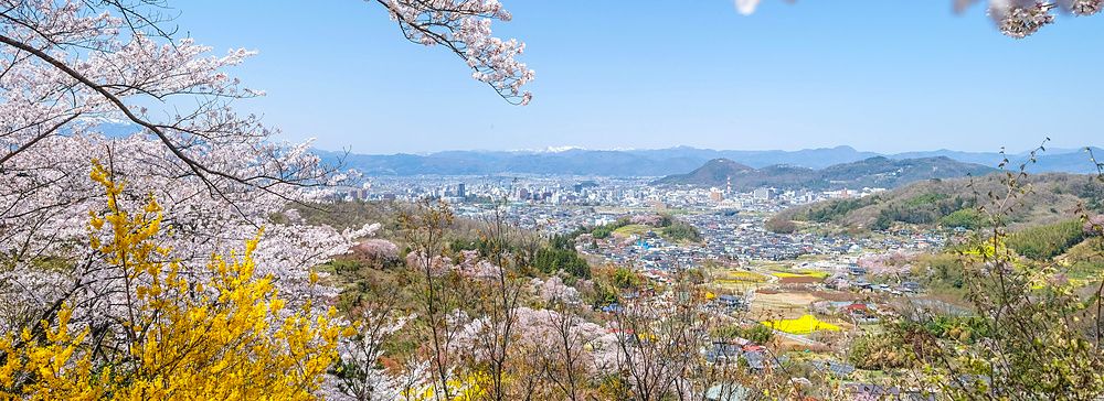 Veduta panoramica di Fukushima con alberi in fiore rosa e gialli in primo piano sotto un cielo sereno.