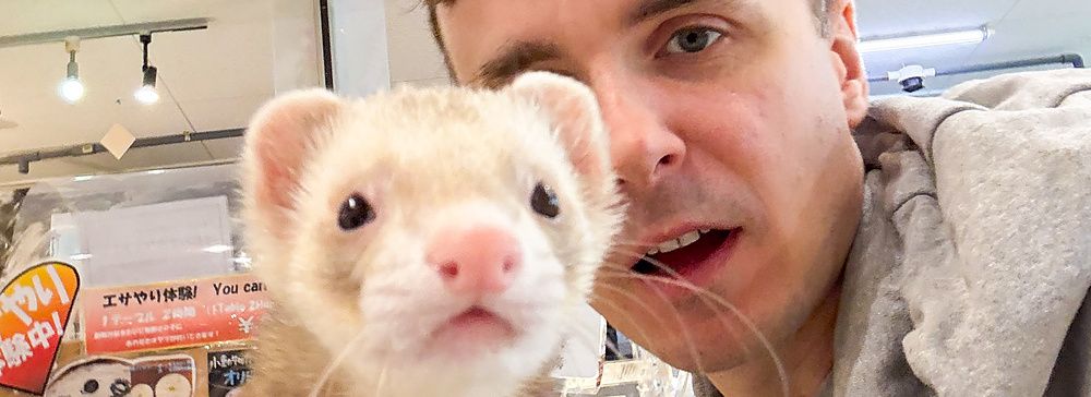 Un furetto e Marco Togni in un animal cafe a Osaka.