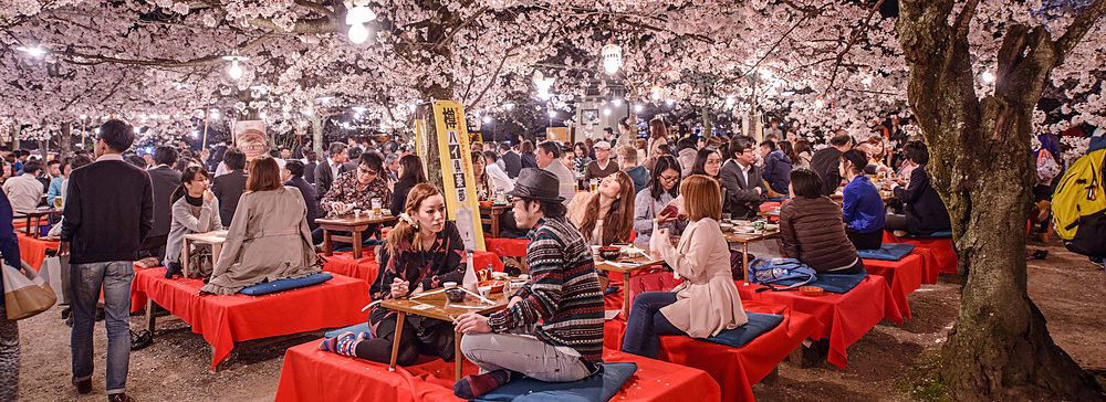 Persone che partecipano a un festival Hanami serale sotto i ciliegi in fiore a Kyoto.