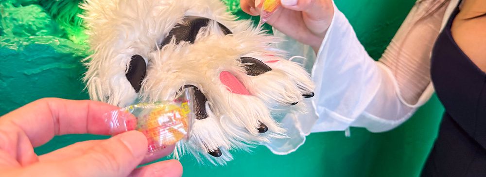 Una mano di orso peloso sporge da un foro su una parete verde presso l'Anakuma Cafe ad Harajuku, Tokyo.