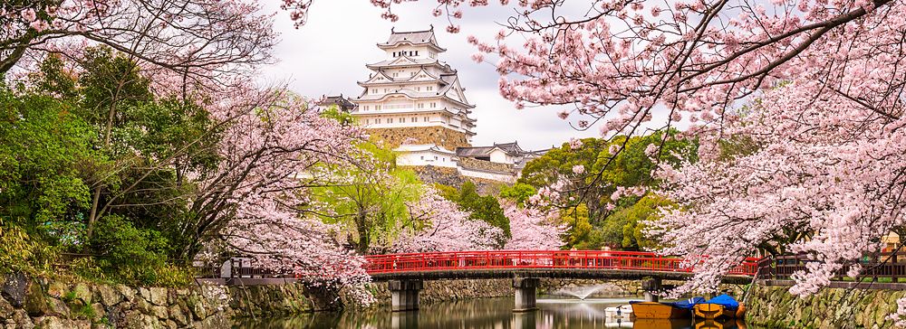 Il Castello di Himeji in primavera con ciliegi in fiore e un ponte rosso.
