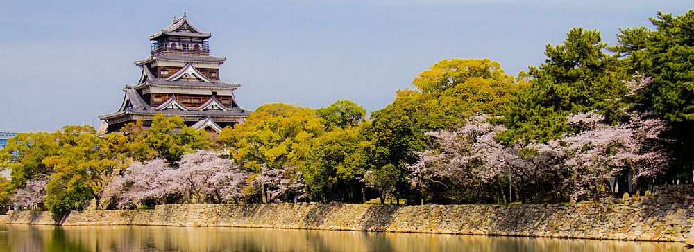 Castello di Hiroshima con ciliegi in fiore riflesso nel fossato.
