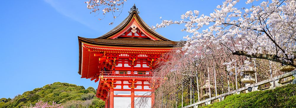 Tempio Kiyomizu-dera a Kyoto con ciliegi in fiore e cielo blu.