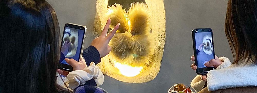 Due persone fotografano con smartphone una mano pelosa che esce da un foro illuminato nel Kuma no Te Cafe, Osaka.