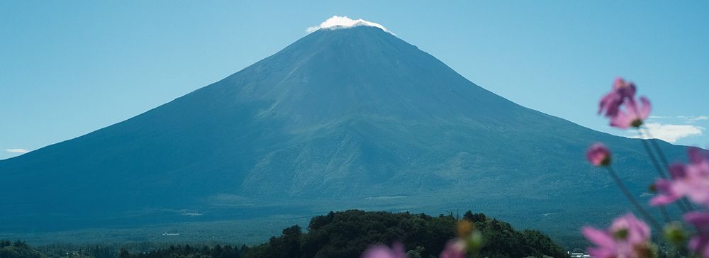Veduta del monte Fuji con neve sulla cima, osservato dalla sponda del lago Kawaguchi presso Oishi Park.
