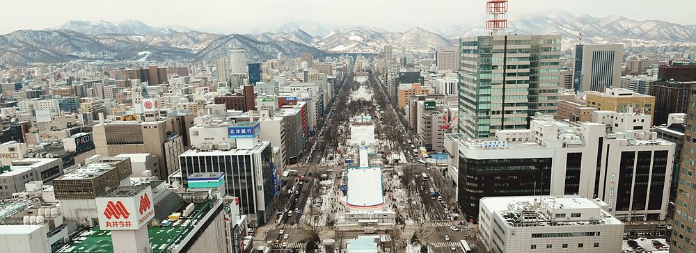Vista di Odori Park a Sapporo durante il Sapporo Snow Festival con neve e montagne.