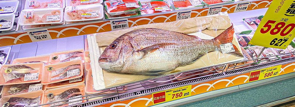 Pesce gigante esposto in un supermercato giapponese, circondato da confezioni di prodotti ittici.