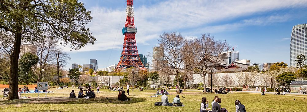 Persone che riposano nel prato di Shiba Park con la Tokyo Tower sullo sfondo in una giornata primaverile.