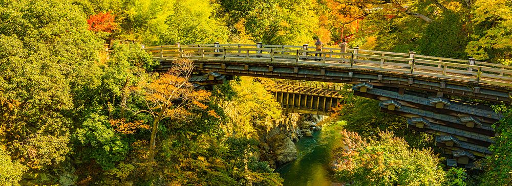 Ponte di legno sospeso sopra una gola in una foresta autunnale con alberi dai colori accesi a Otsuki.