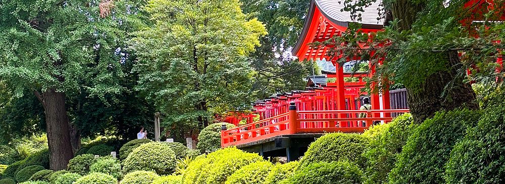 Il giardino del santuario Nezu a Tokyo con cespugli curati e un torrente.