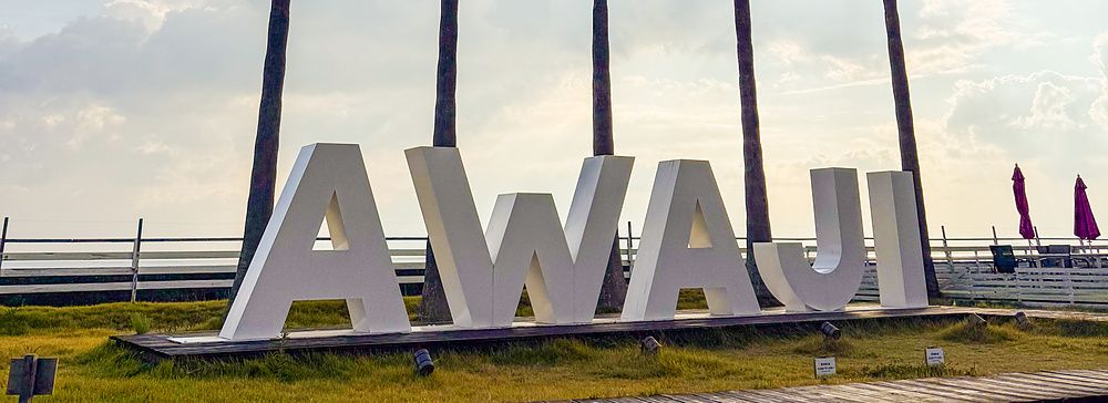 L'insegna monumentale con la scritta AWAJI su un prato con una fila di palme alte sotto un cielo parzialmente nuvoloso.