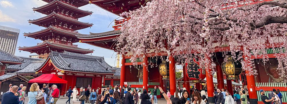 tempio Senso-ji ad Asakusa con fiori di ciliegio e persone.