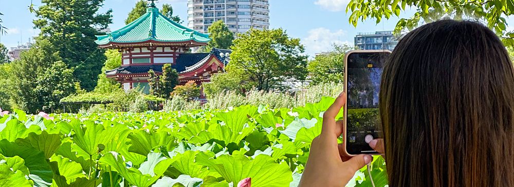 Persona fotografa il Stagno Shinobazu a Tokyo con un tempio sullo sfondo.