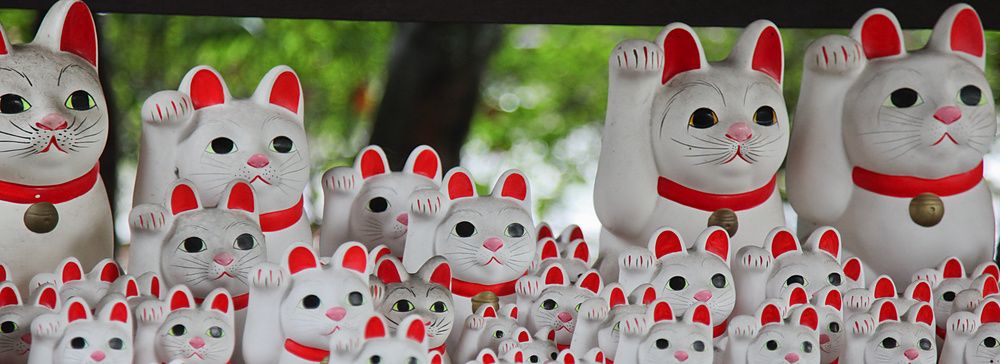 Maneki neko su mensole al Tempio Gotokuji a Tokyo.