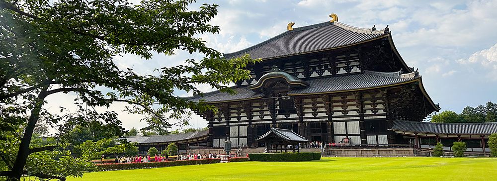veduta del tempio Todai-ji a Nara con prato verde e albero.