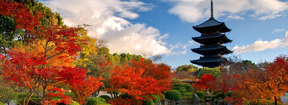 Pagoda di To-ji a Kyoto circondata da alberi autunnali e un lago.
