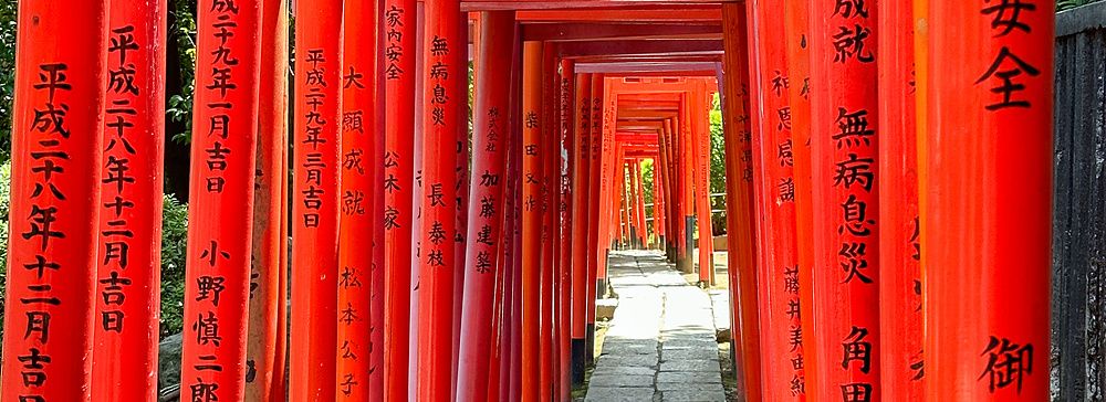 fila di torii rossi al santuario Nezu a Tokyo con iscrizioni