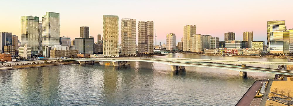 Veduta panoramica di grattacieli e un ponte sul fiume ripresa dalla stanza a La Vista Tokyo Bay a Toyosu.