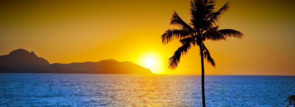 Tramonto tropicale con palma e oceano a Tokoriki Island, Fiji.