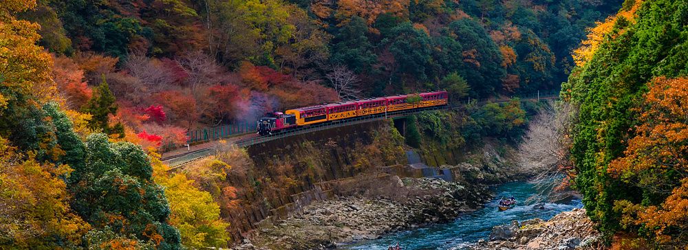 Treno turistico rosso e giallo in viaggio lungo una gola alberata autunnale a Kyoto con barche sul fiume sottostante.