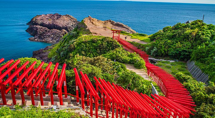 Una fila di torii rossi attraversa una collina verdeggiante sopra l'oceano in Giappone.