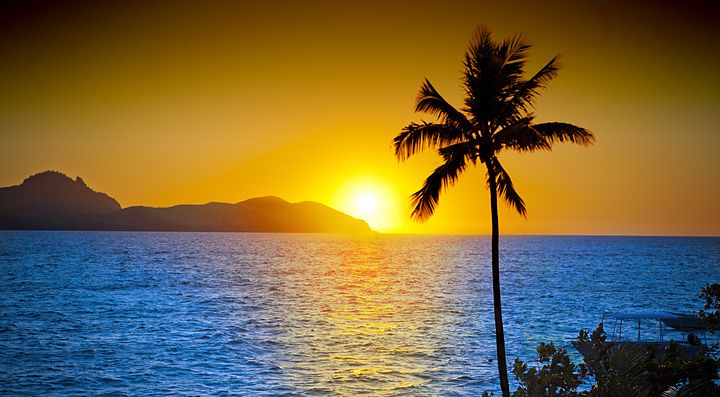 Tramonto tropicale con palma e oceano a Tokoriki Island, Fiji.