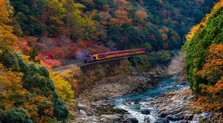 Treno turistico rosso e giallo in viaggio lungo una gola alberata autunnale a Kyoto con barche sul fiume sottostante.