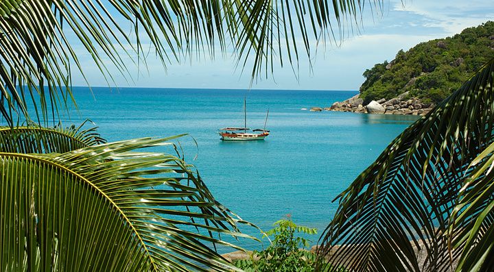 Yacht di lusso in mare turchese tra palme a Koh Samui, Thailandia.