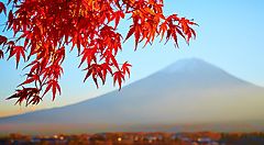 Foglie rosse d'autunno con il Monte Fuji sullo sfondo.