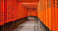 I portali rossi del Fushimi Inari di Tokyo, in un momento in cui non c'è nessuno.