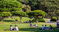 Persone sedute su un prato nel parco Shinjuku Gyoen, Tokyo.