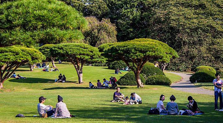 Persone sedute su un prato nel parco Shinjuku Gyoen, Tokyo.