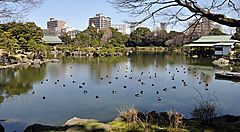 Il lago al giardino Kiyosumi.
