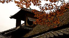Dettaglio del tetto al tempio Shisendo, a Kyoto.