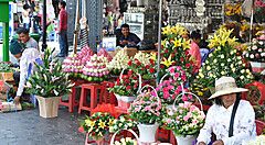 Fiori freschi in vendita al mercato dei fiori di Bangkok.