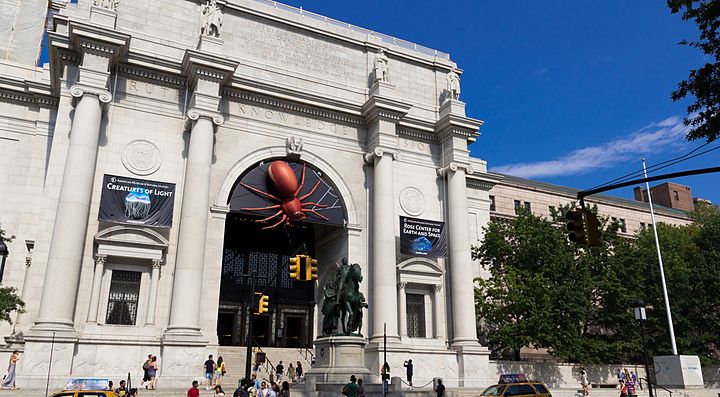 Il Museo di Storia Naturale di New York.