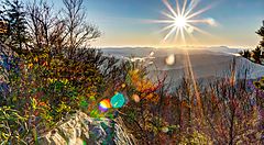 Vista della natura al Great Smoky Mountains National Park.