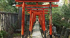 I torii al santuario Nezu, a Tokyo.