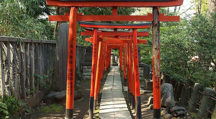 I torii al santuario Nezu, a Tokyo.