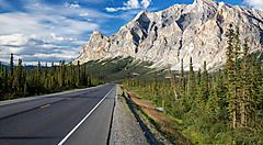 Strada asfaltata costeggiata da alberi con montagne sullo sfondo.