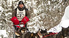 Persona su una slitta trainata da cani in una foresta innevata.