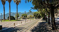 Lungomare alberato a Salerno con palme e montagne sullo sfondo.