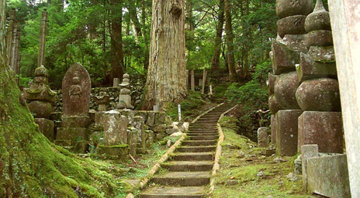 Sentiero tra antiche sculture di pietra in una foresta lussureggiante.