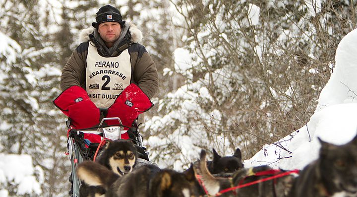 Persona su una slitta trainata da cani in una foresta innevata.