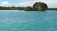 Baia con acqua turchese e un'isola alberata in lontananza.