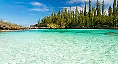 Acque cristalline e pini a Nouméa, Nuova Caledonia.